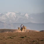 Balade à Chameau au Coucher du Soleil et Expérience dans le Désert Marocain à Agafay 3 camel desert agafay