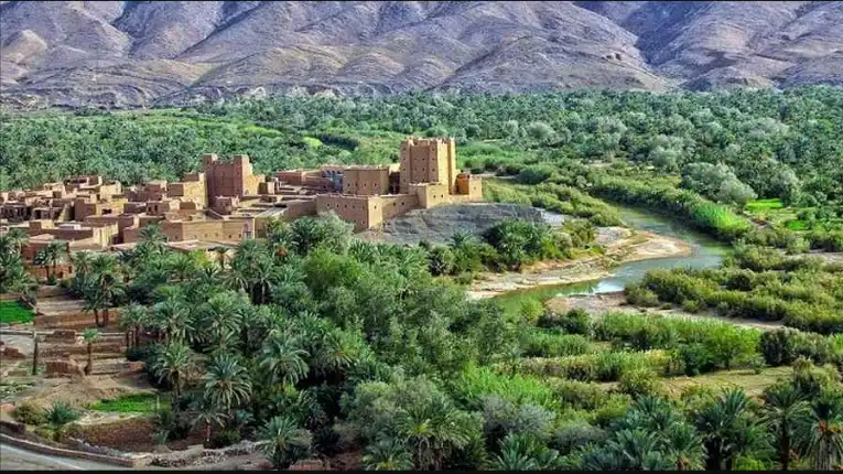 A scenic view of Errachidia in Morocco, showcasing palm groves, the Ziz Valley, and surrounding Atlas Mountains near the edge of the Sahara.