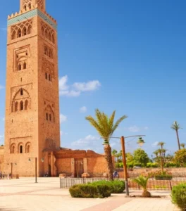 Marrakech → Ouarzazate → Boumalne Dades (44)