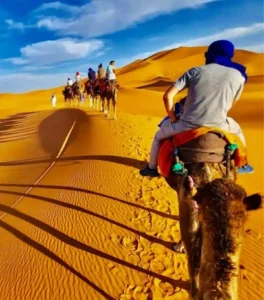 Camel caravan moves across golden Sahara dunes, travelers riding at sunset, creating a timeless journey through vast desert landscapes.