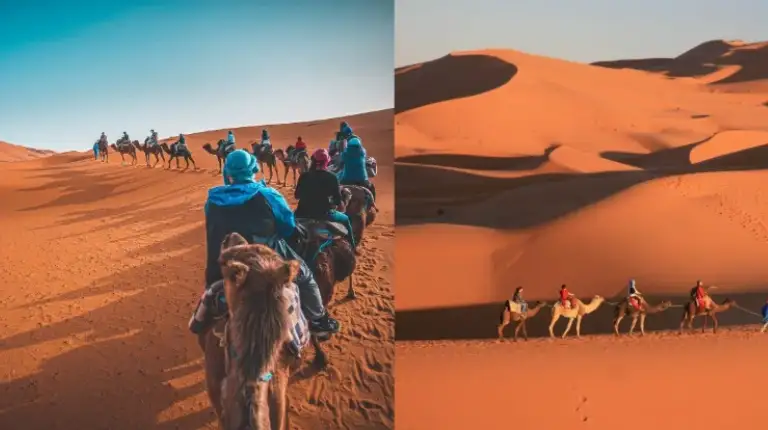 Travelers ride camels across sweeping Sahara sand dunes, forming a caravan trail through golden Erg Chebbi scenery on a Marrakech to Fes desert tour.