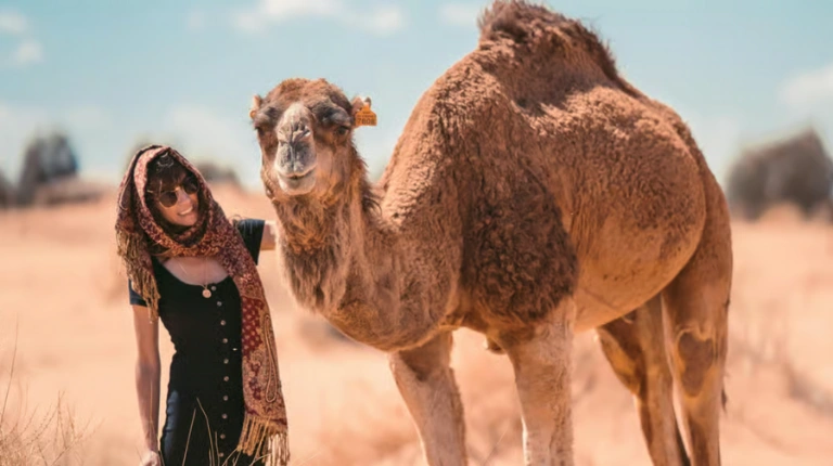 Person stands beside single-humped camel on sandy terrain, highlighting quiet companionship within Morocco’s desert landscape with moroccotripway experience.