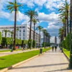 Rabat Mohammed V Boulevard with palm trees
