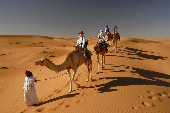 Camel Tracking Morocco